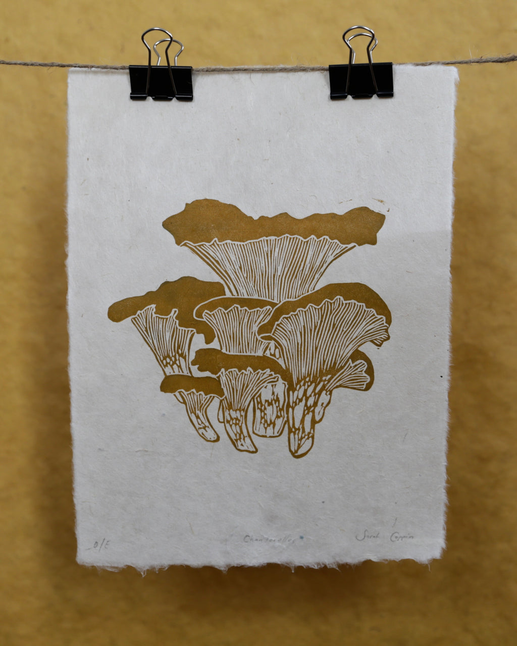 Chanterelles