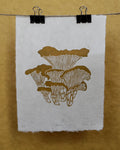 Chanterelles