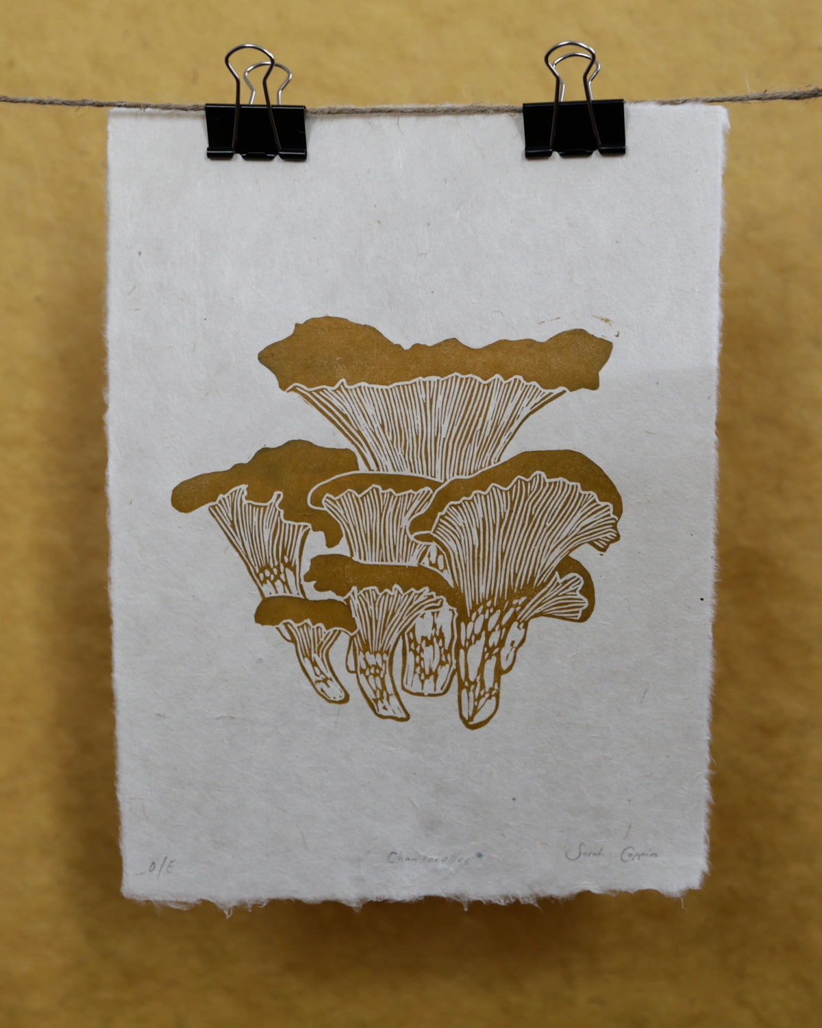Chanterelles