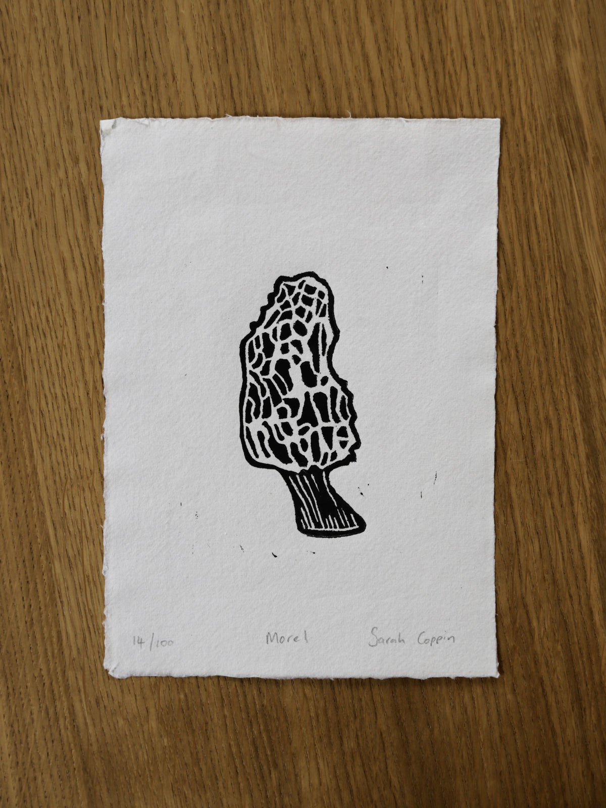 Morel Mushroom B&W Print