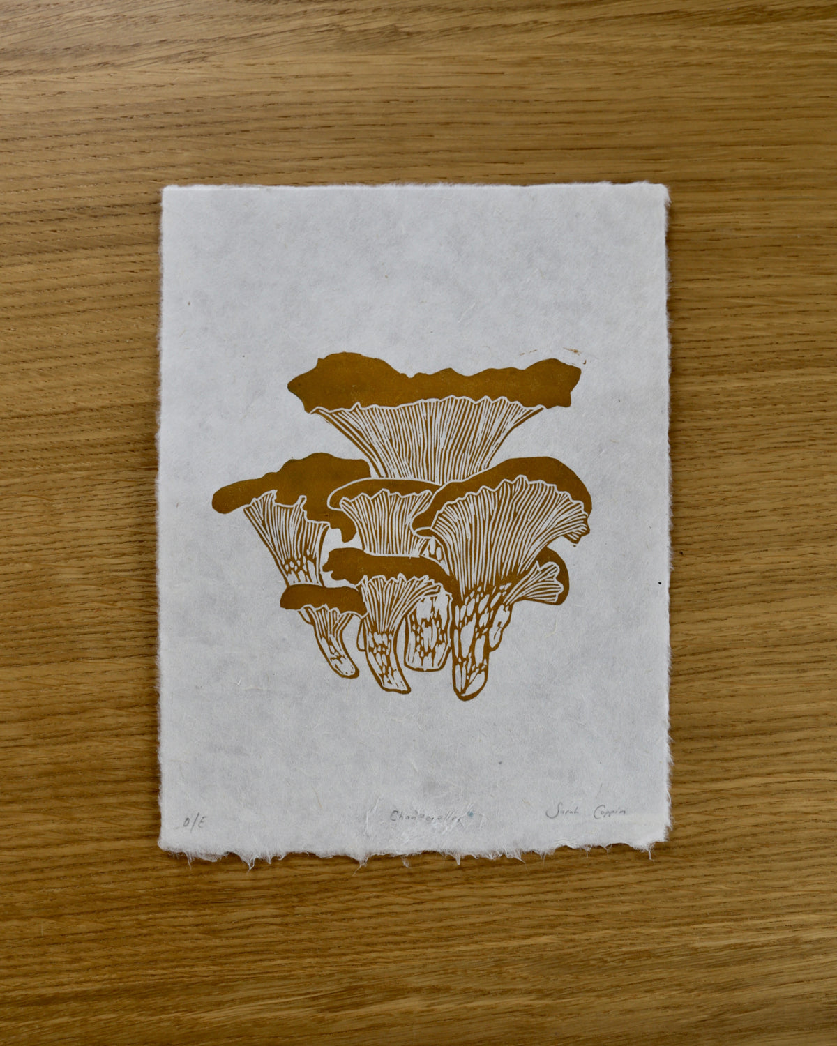Chanterelles