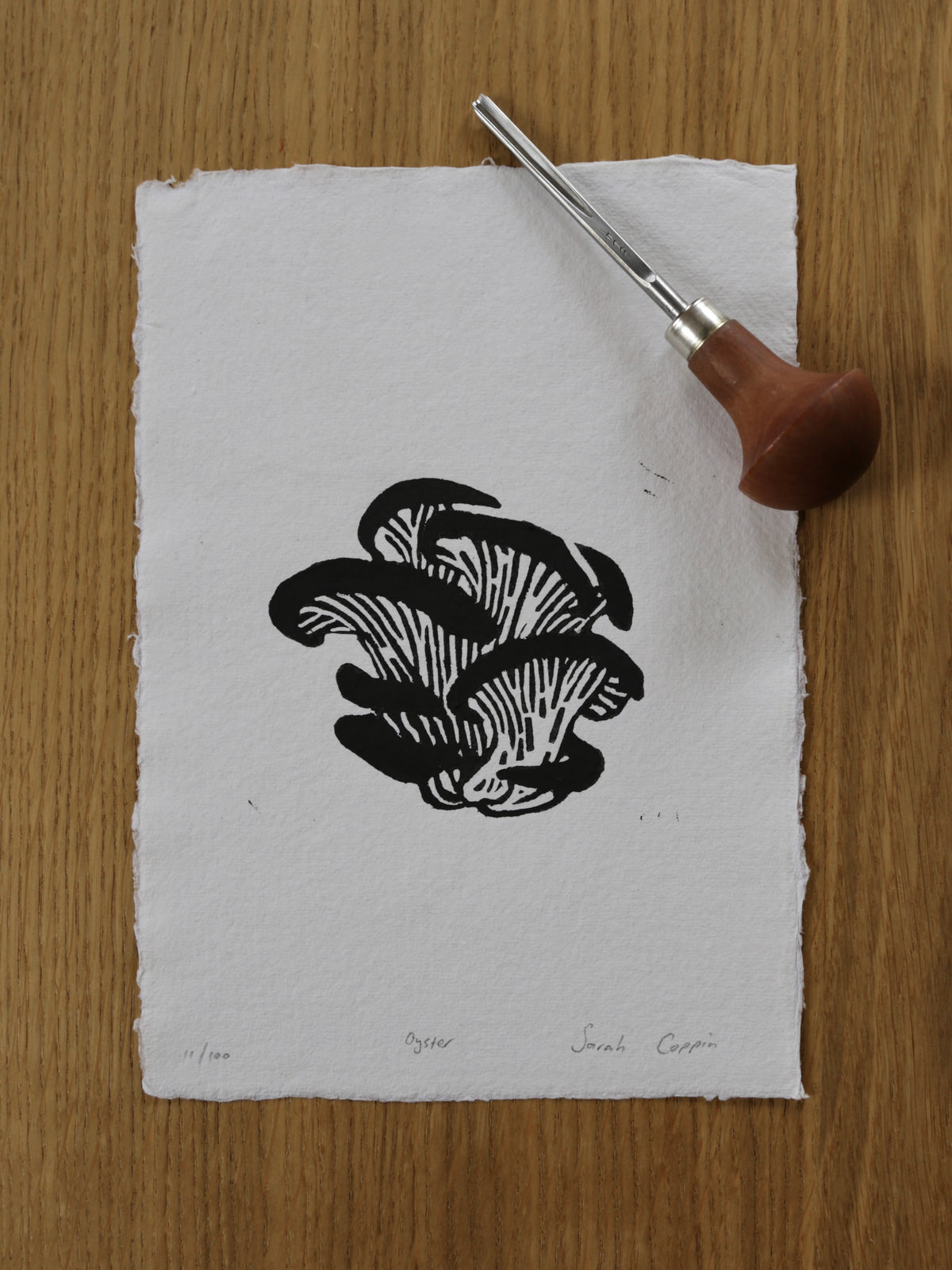 Oyster Mushroom B&W