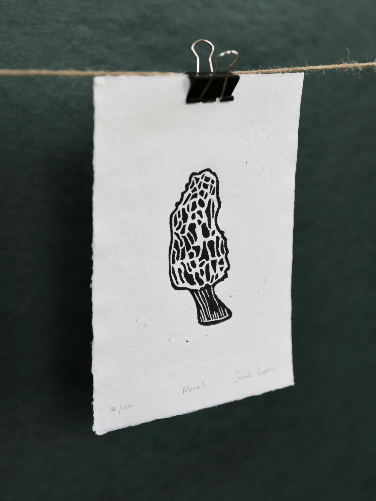 Morel Mushroom B&W Print