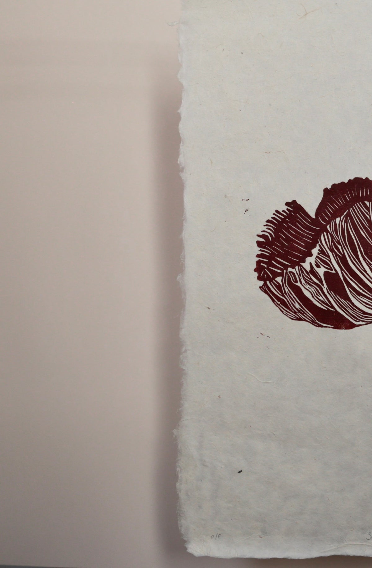Scarlet Waxcap (V2: Open Edition)