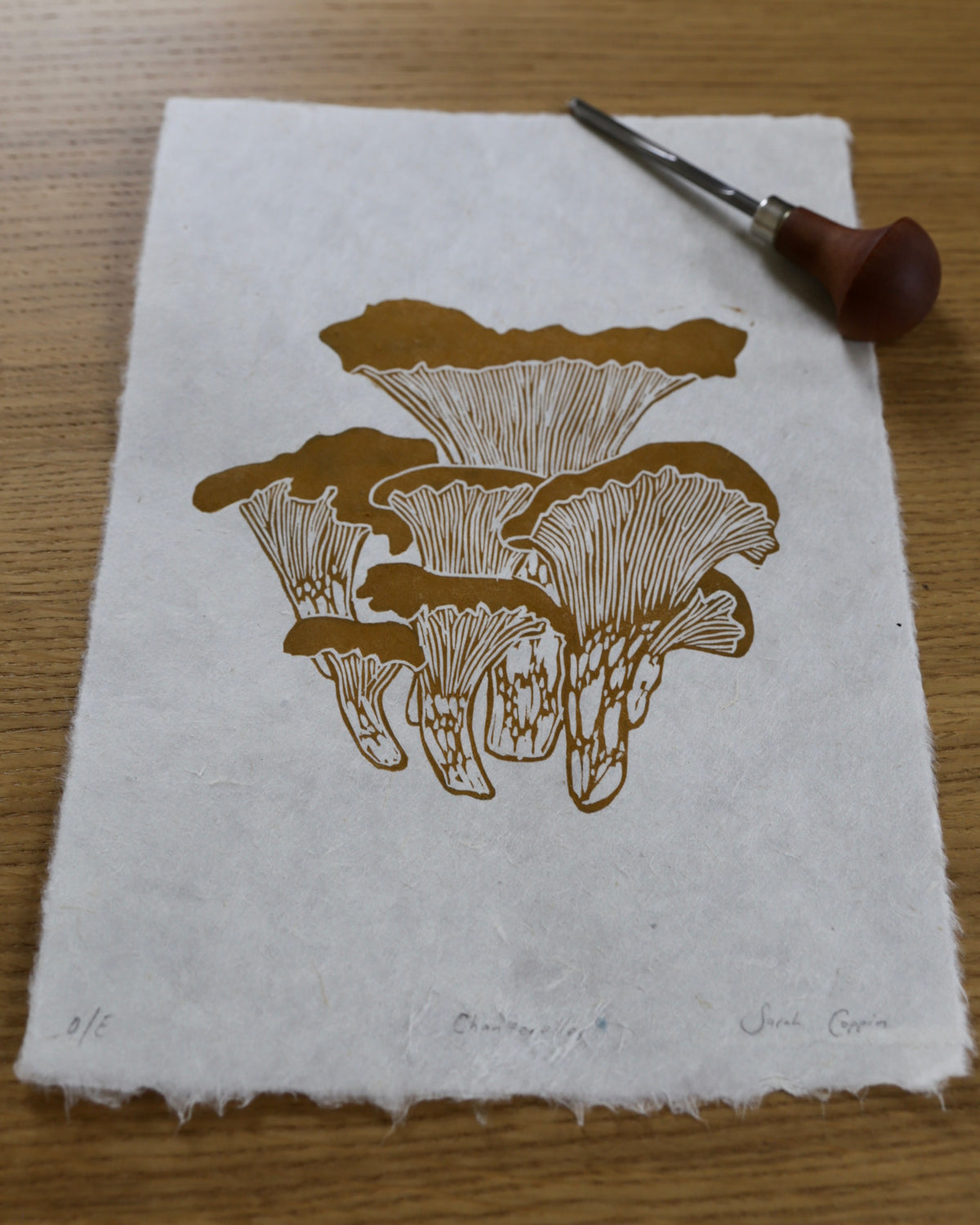 Chanterelles