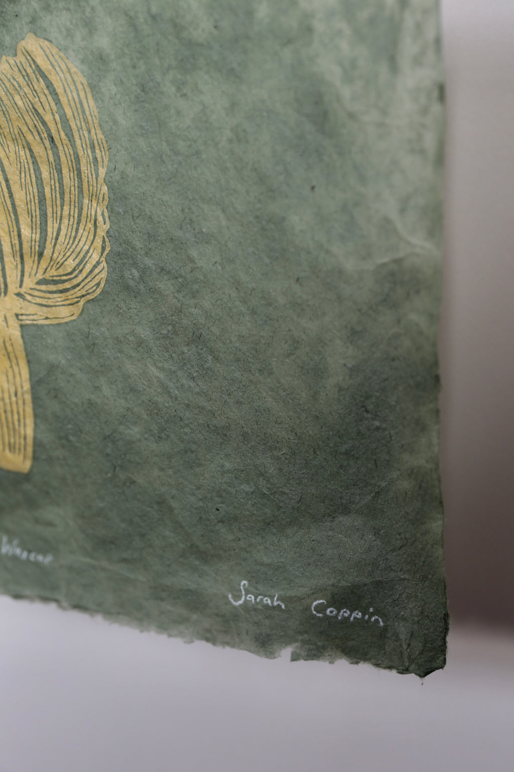 Scarlet Waxcap (V1: Limited Edition)