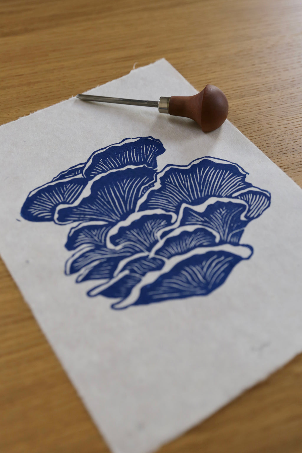 Blue Oyster Mushroom