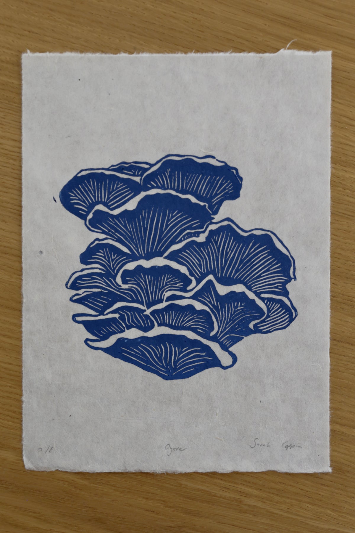 Blue Oyster Mushroom