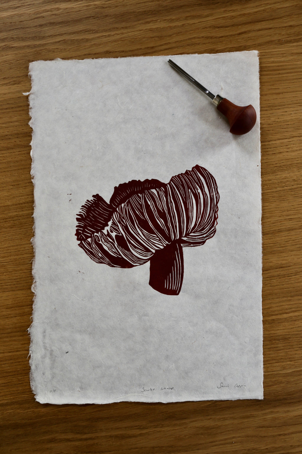 Scarlet Waxcap (V2: Open Edition)