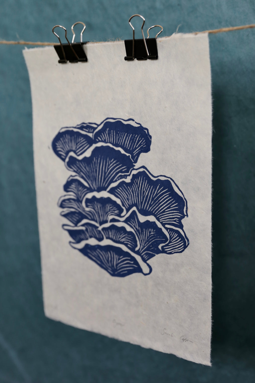Blue Oyster Mushroom