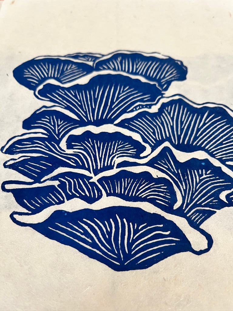 Blue Oyster Mushroom