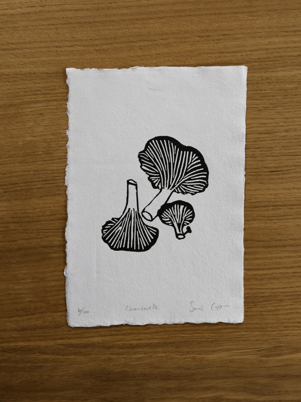 Chanterelle Mushrooms B&W