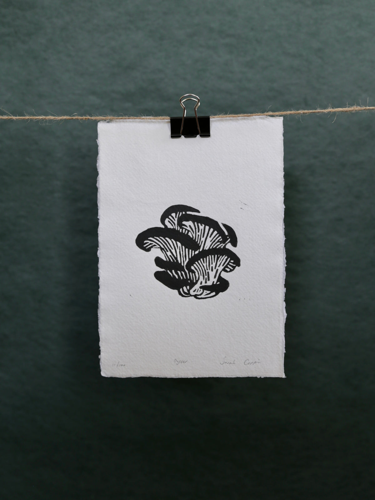 Oyster Mushroom B&W