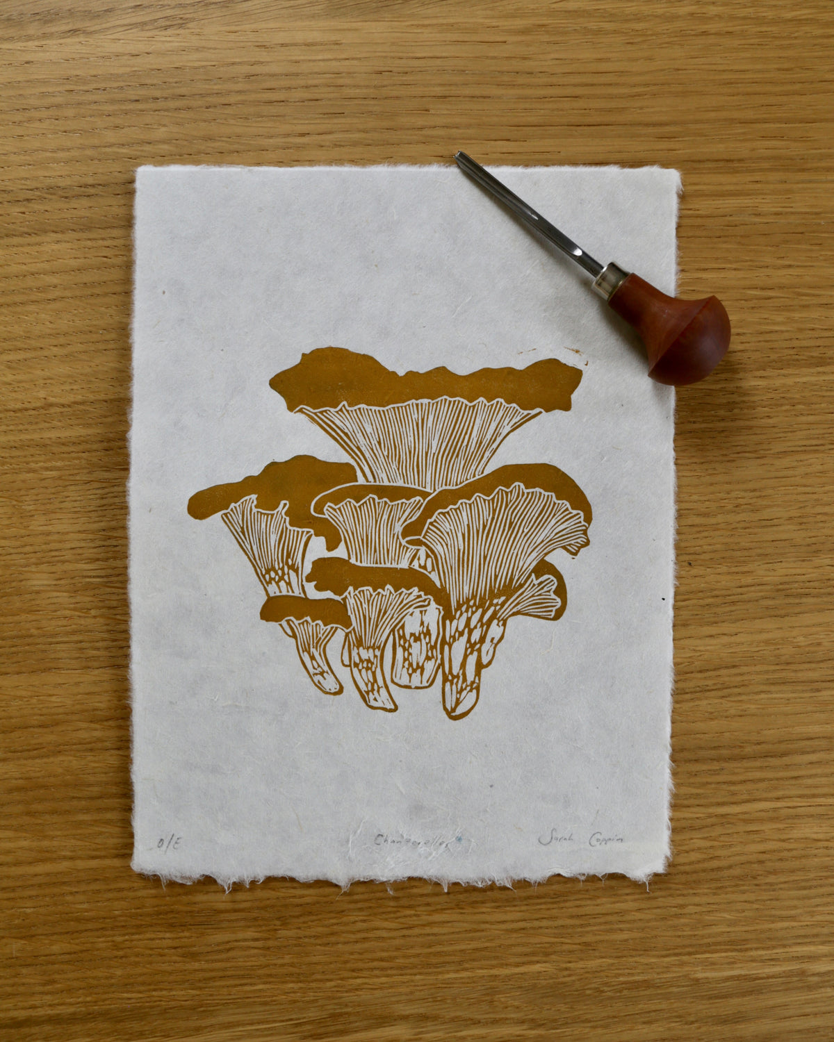 Chanterelles
