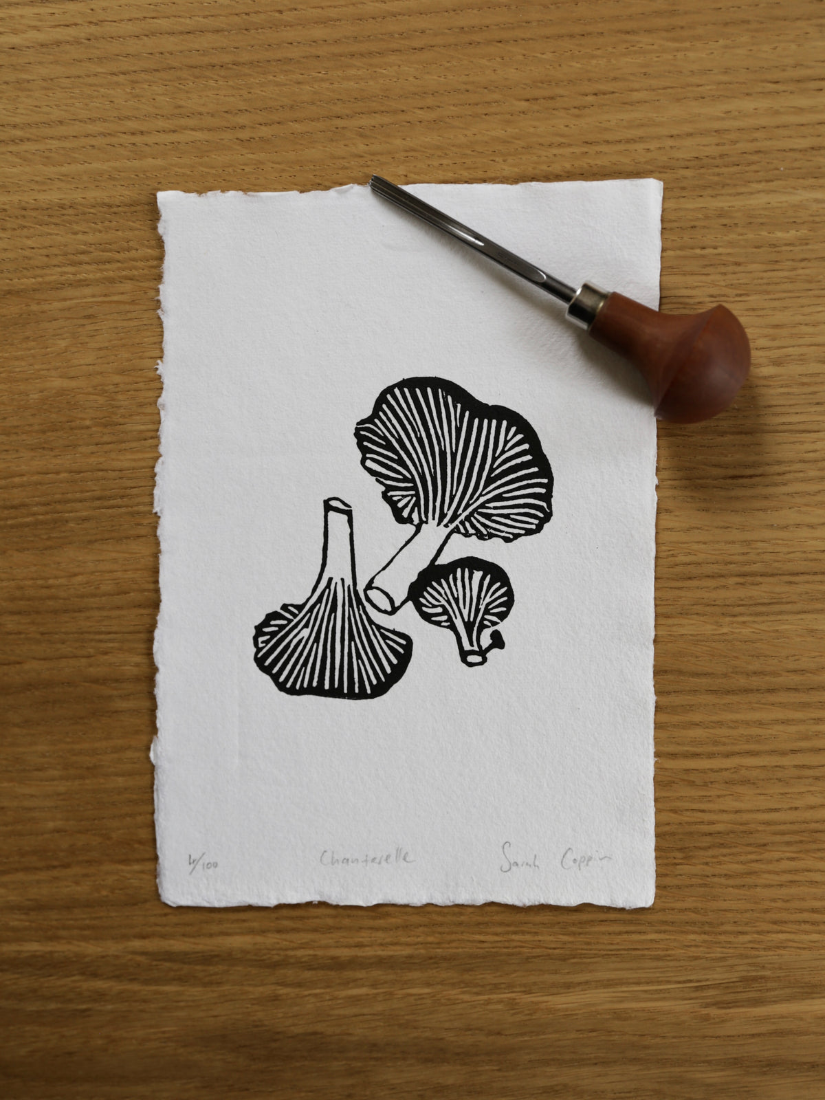 Chanterelle Mushrooms B&W