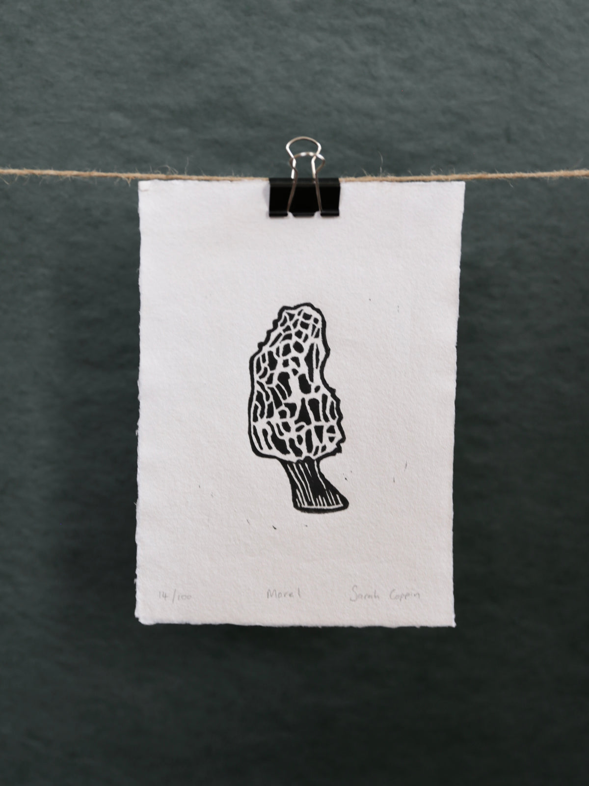Morel Mushroom B&W Print