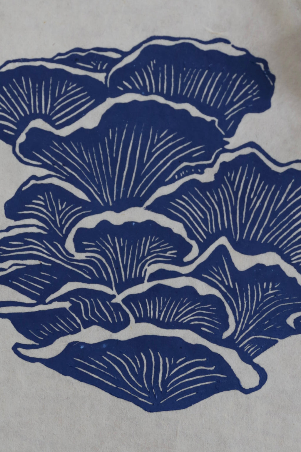 Blue Oyster Mushroom