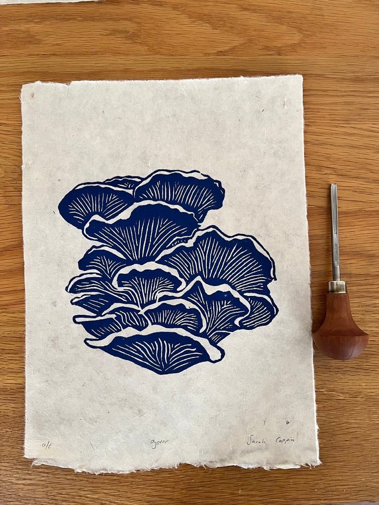Blue Oyster Mushroom