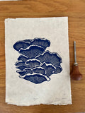 Blue Oyster Mushroom