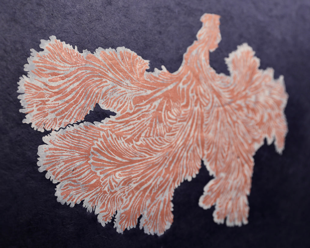 Schizophyllum Commune