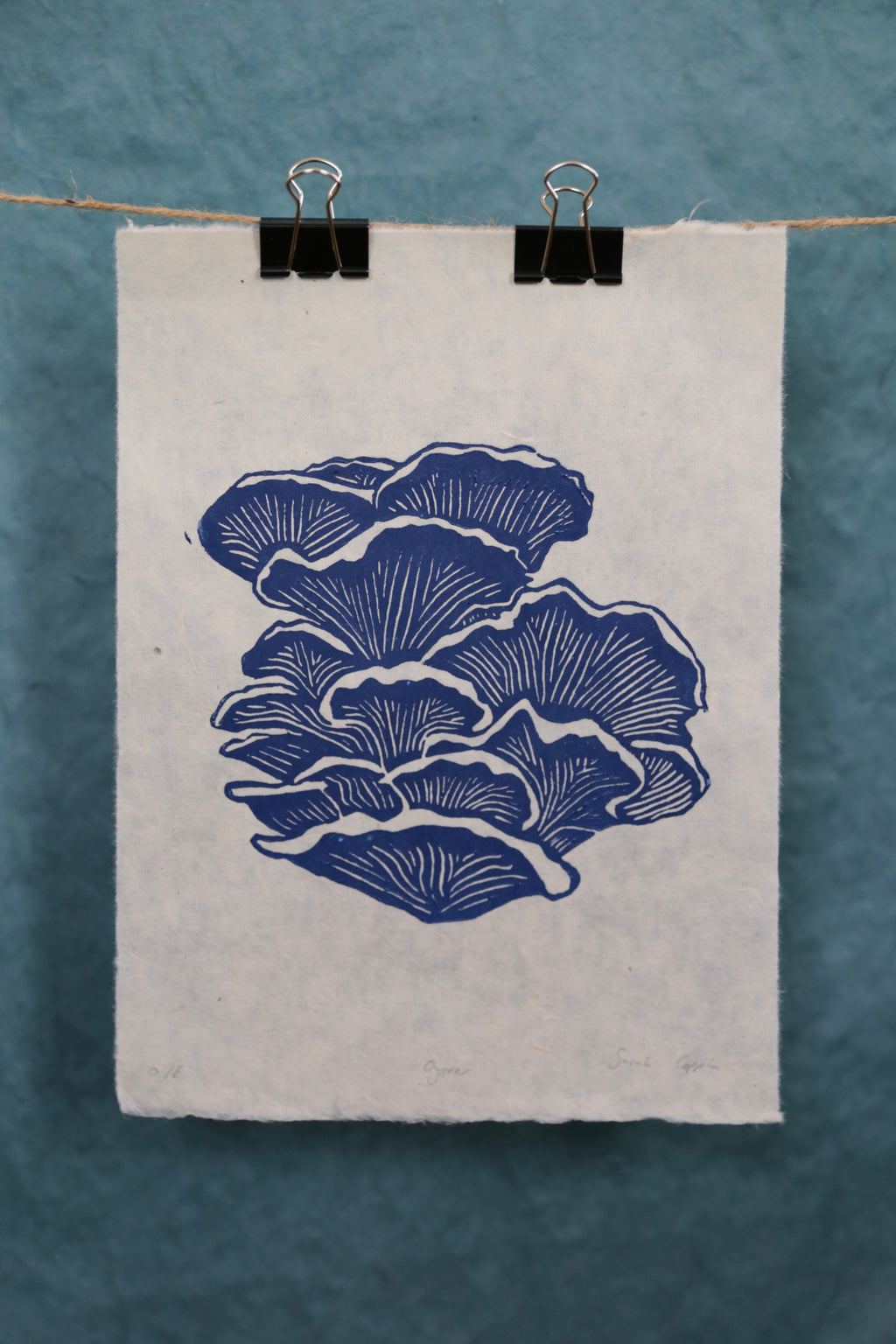 Blue Oyster Mushroom