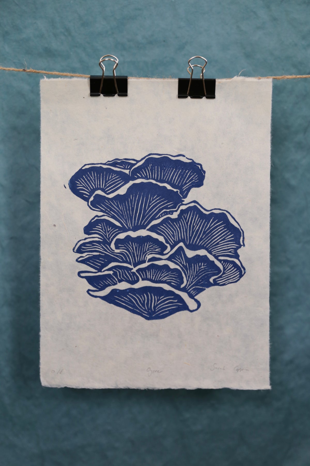 Blue Oyster Mushroom