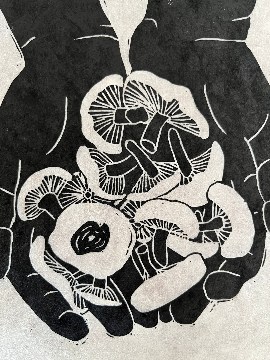 Shiitake