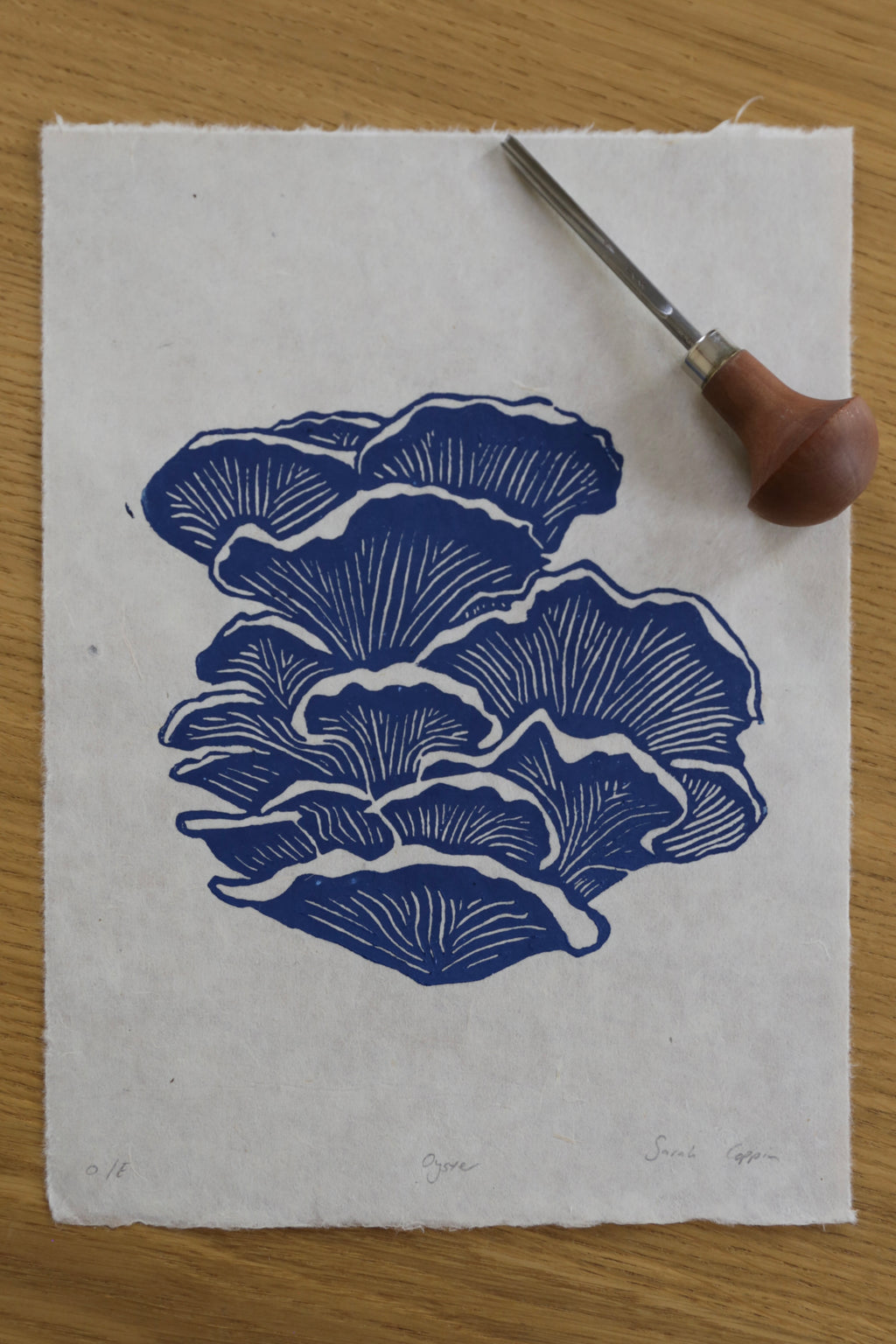 Blue Oyster Mushroom