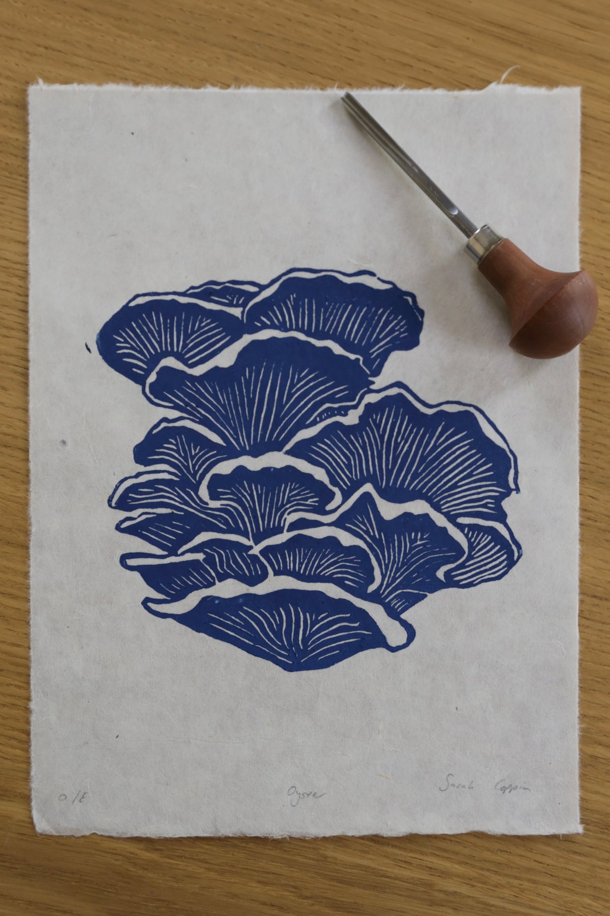 Blue Oyster Mushroom