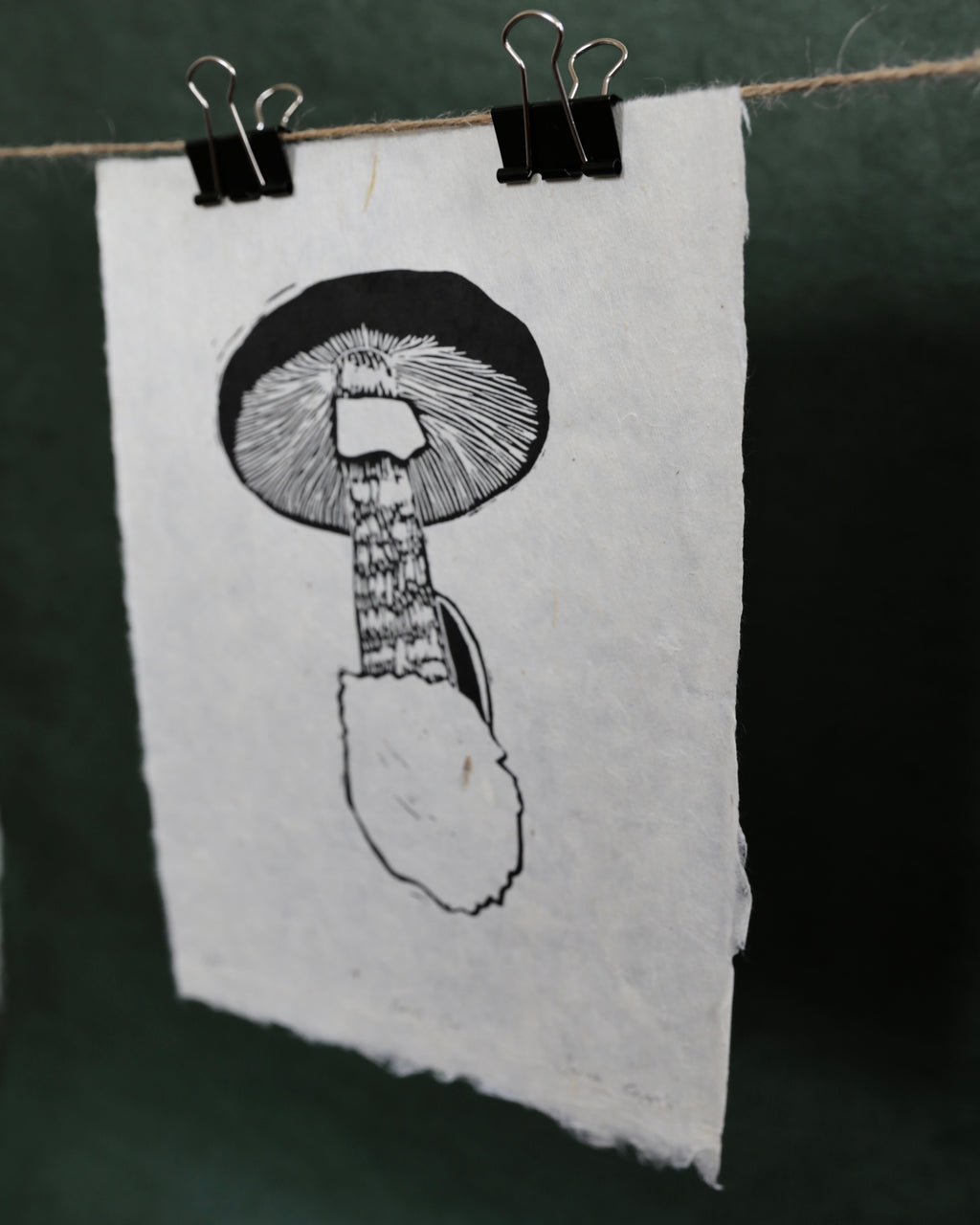 Death Cap