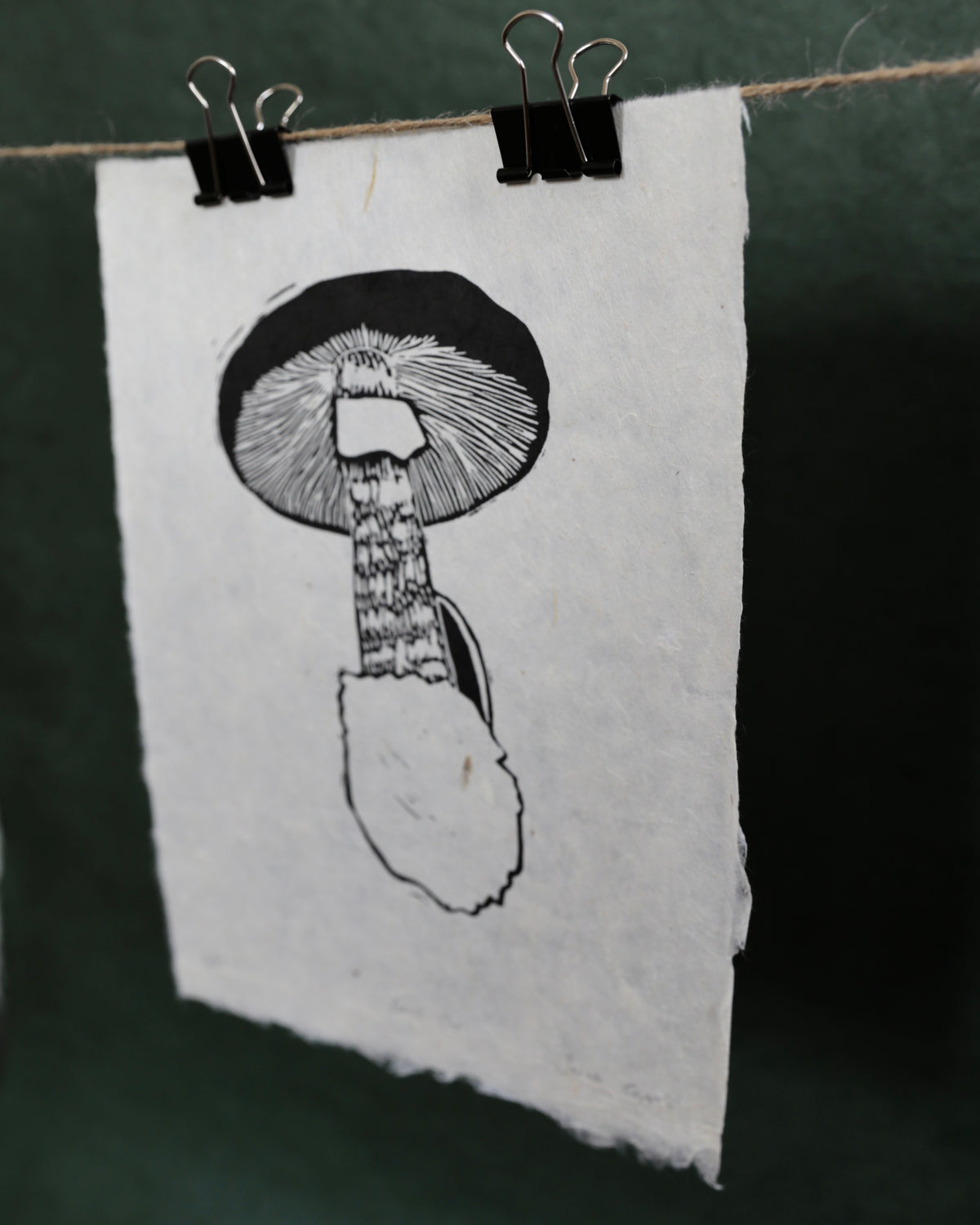 Death Cap
