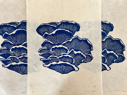 Blue Oyster Mushroom