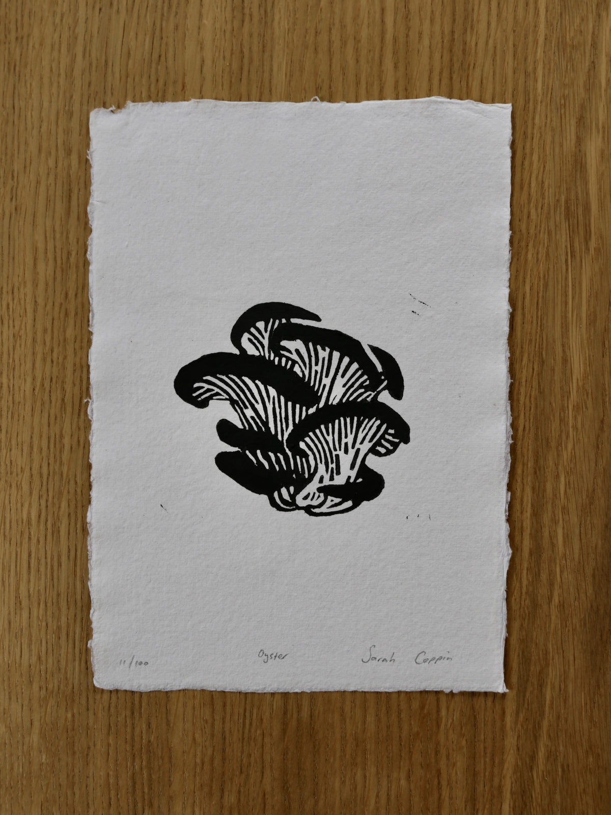 Oyster Mushroom B&W