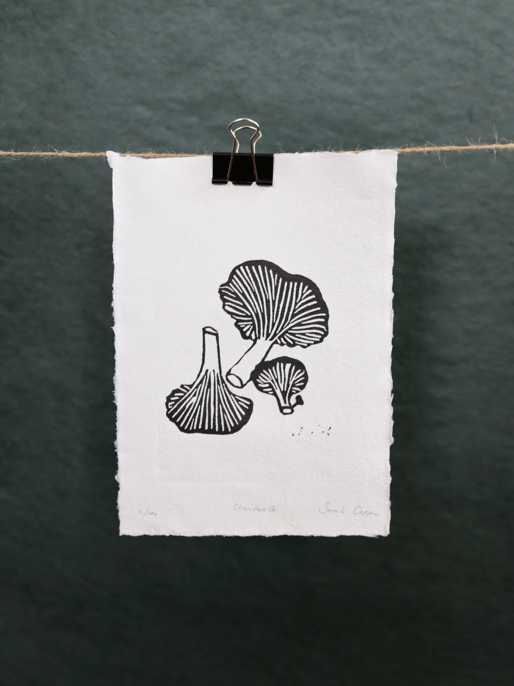 Chanterelle Mushrooms B&W