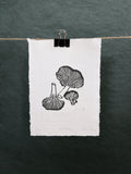 Chanterelle Mushrooms B&W