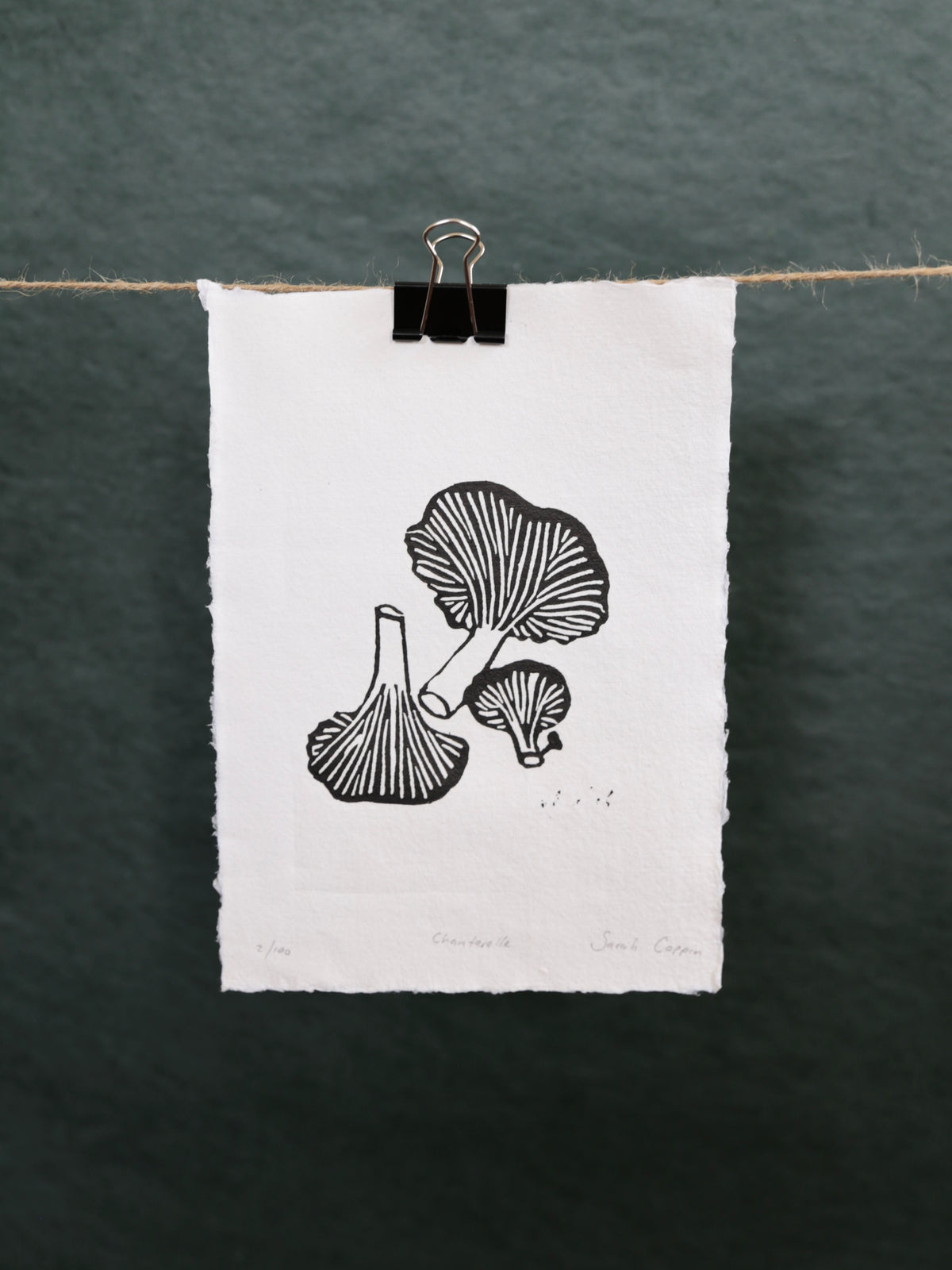 Chanterelle Mushrooms B&W