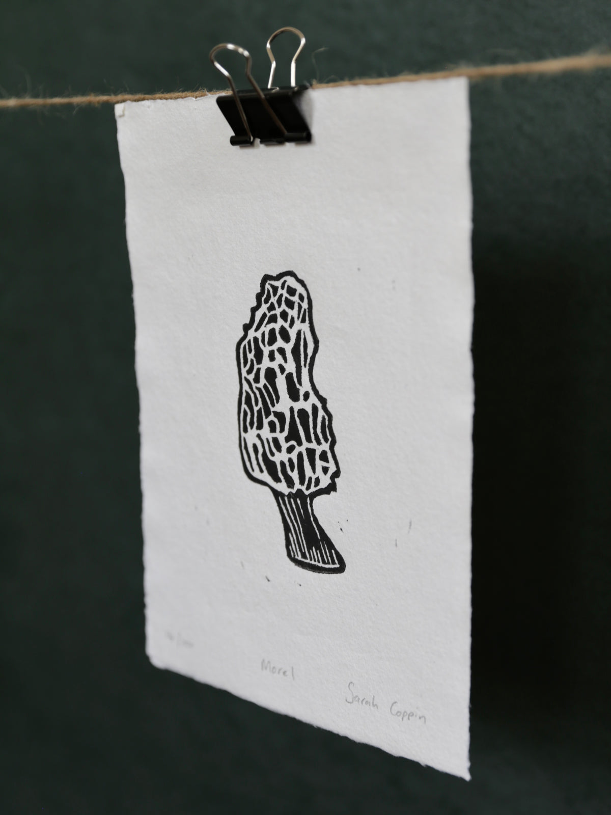 Morel Mushroom B&W Print