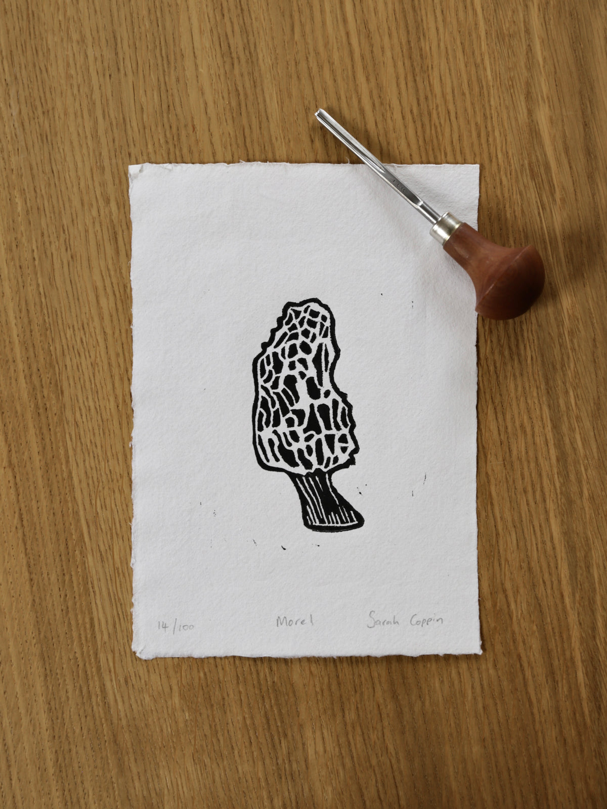 Morel Mushroom B&W Print