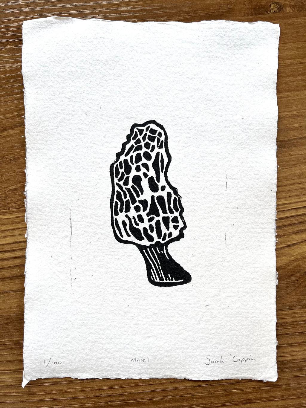 Morel Mushroom B&W Print (A5)
