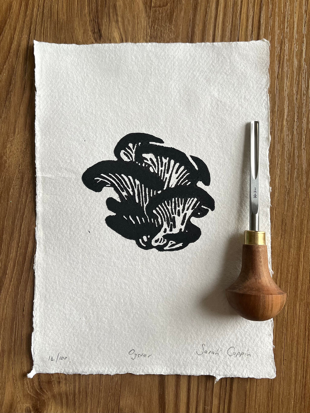 Oyster Mushroom B&W (A5)