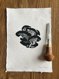 Oyster Mushroom B&W (A5)