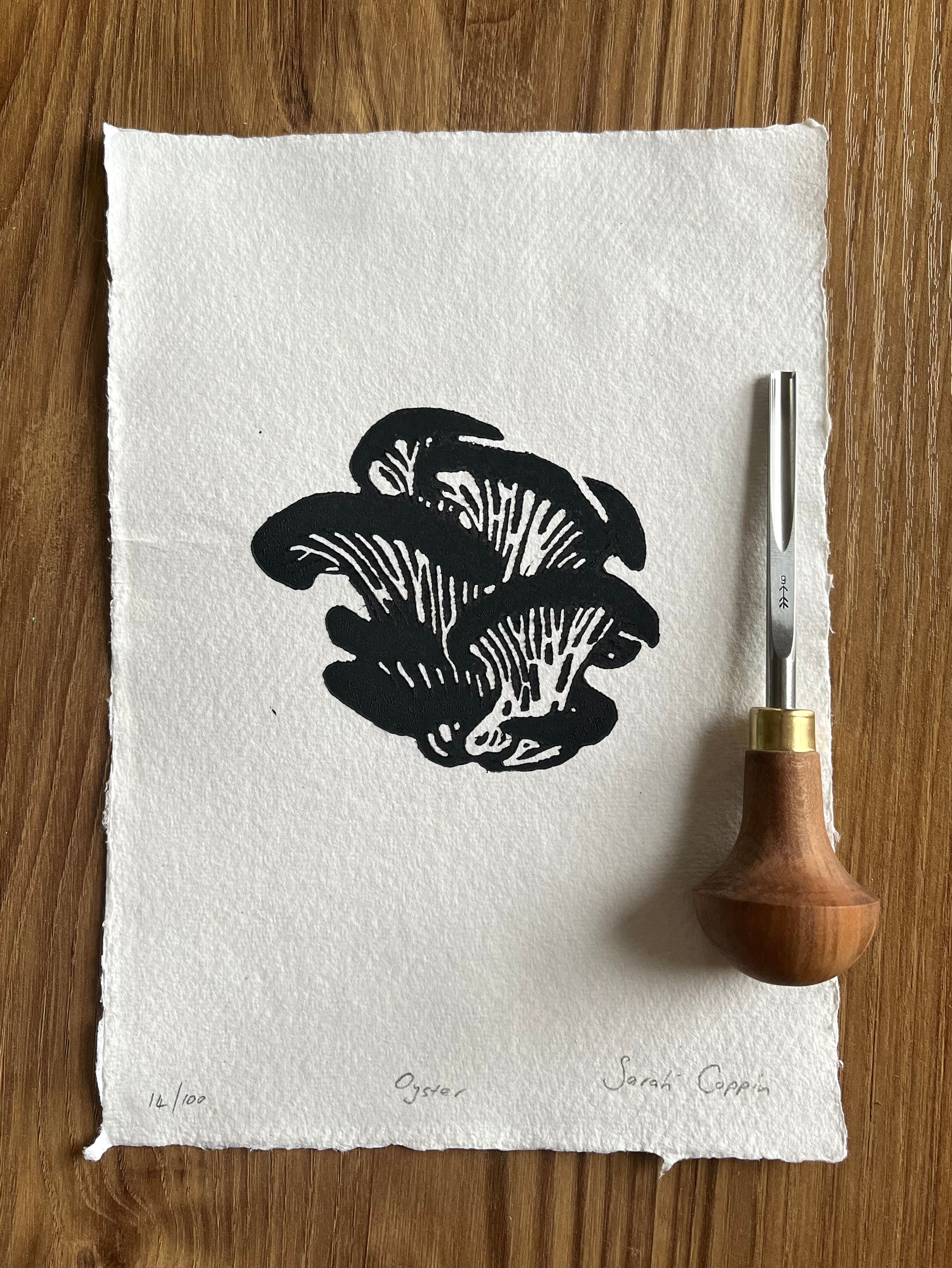 Oyster Mushroom B&W (A5)