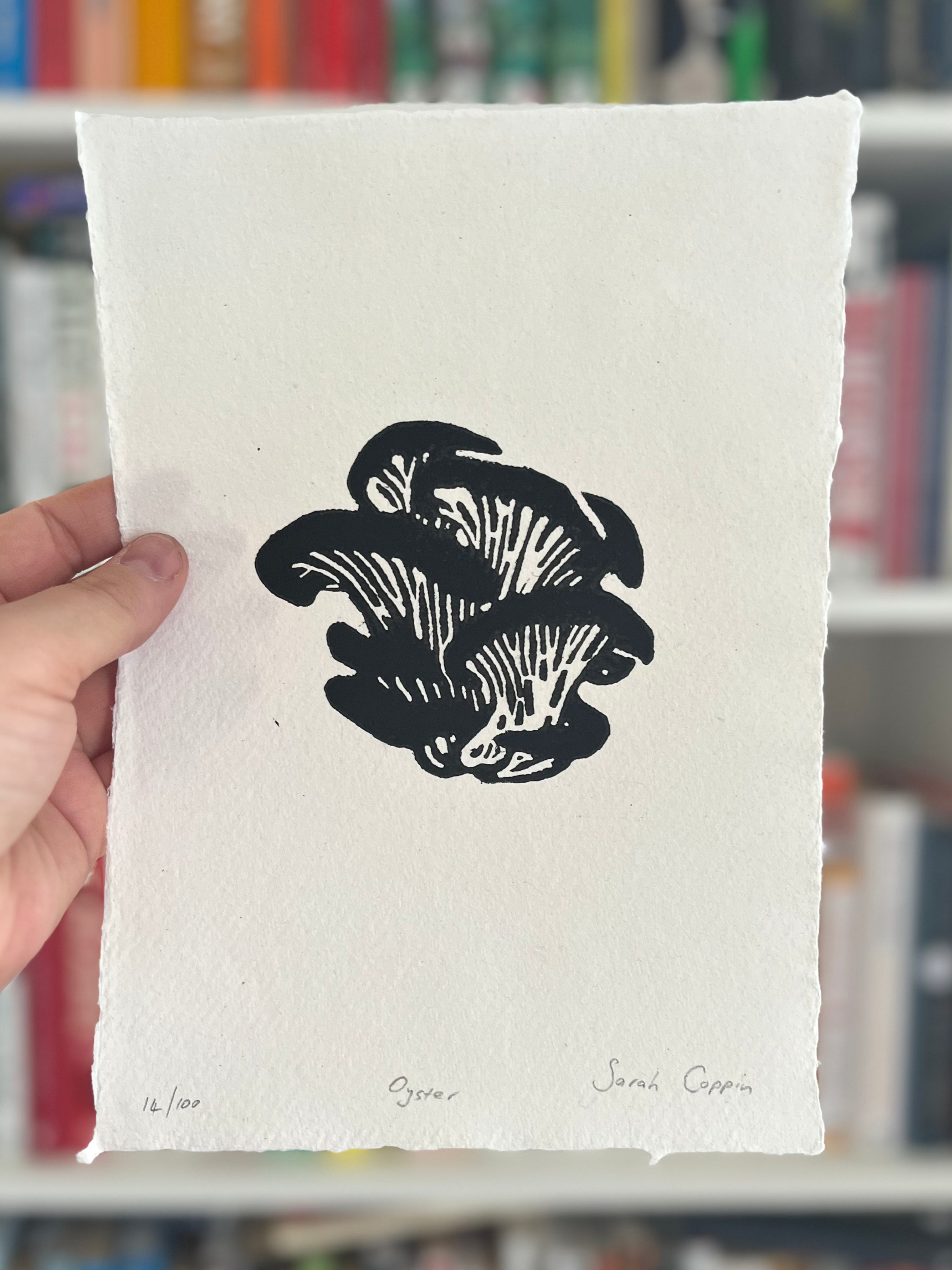 Oyster Mushroom B&W (A5)