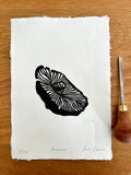 Portobello Mushroom B&W (A5)