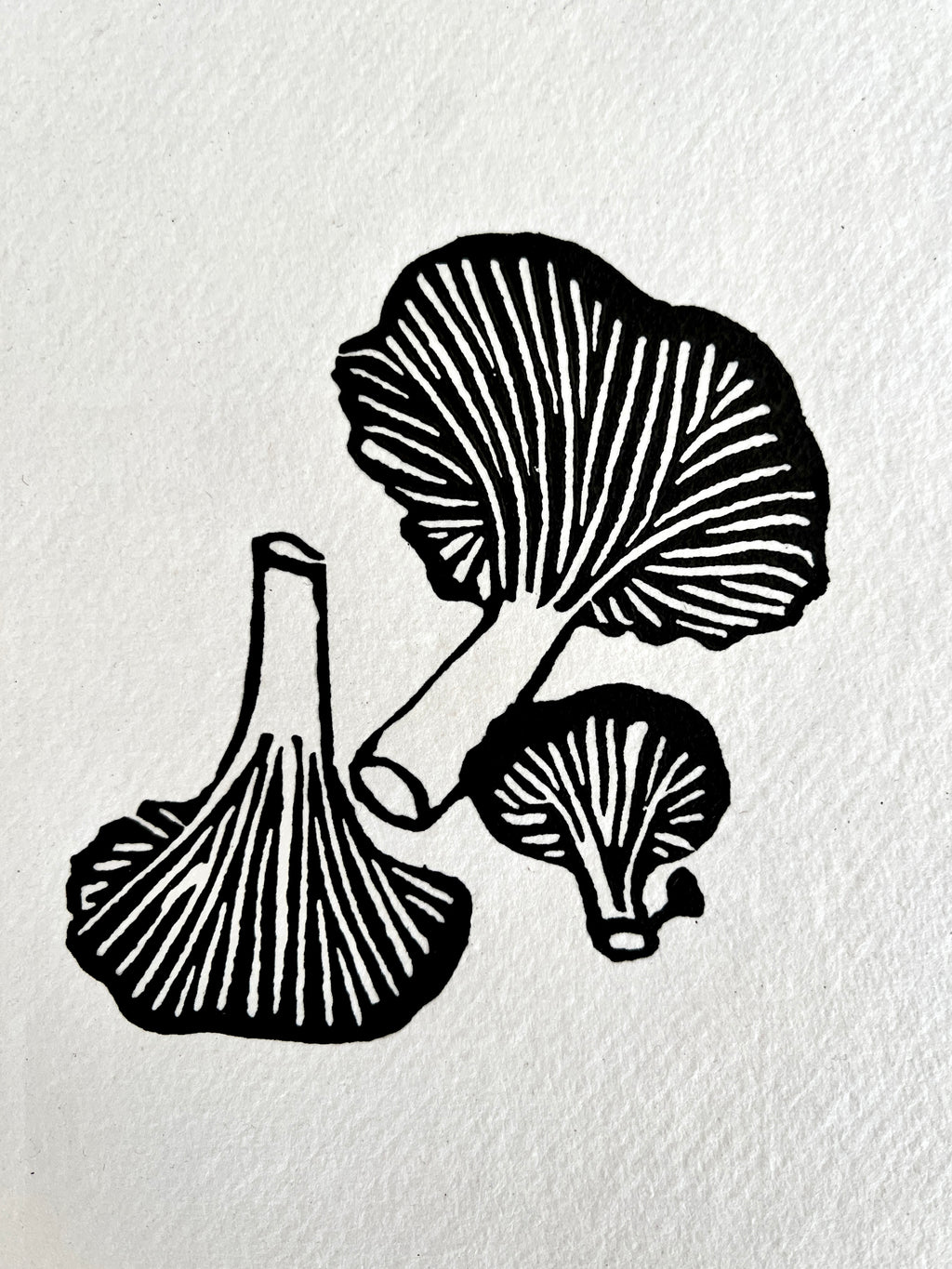 Chanterelle Mushrooms B&W (A5)