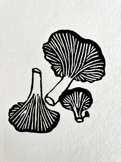 Chanterelle Mushrooms B&W (A5)