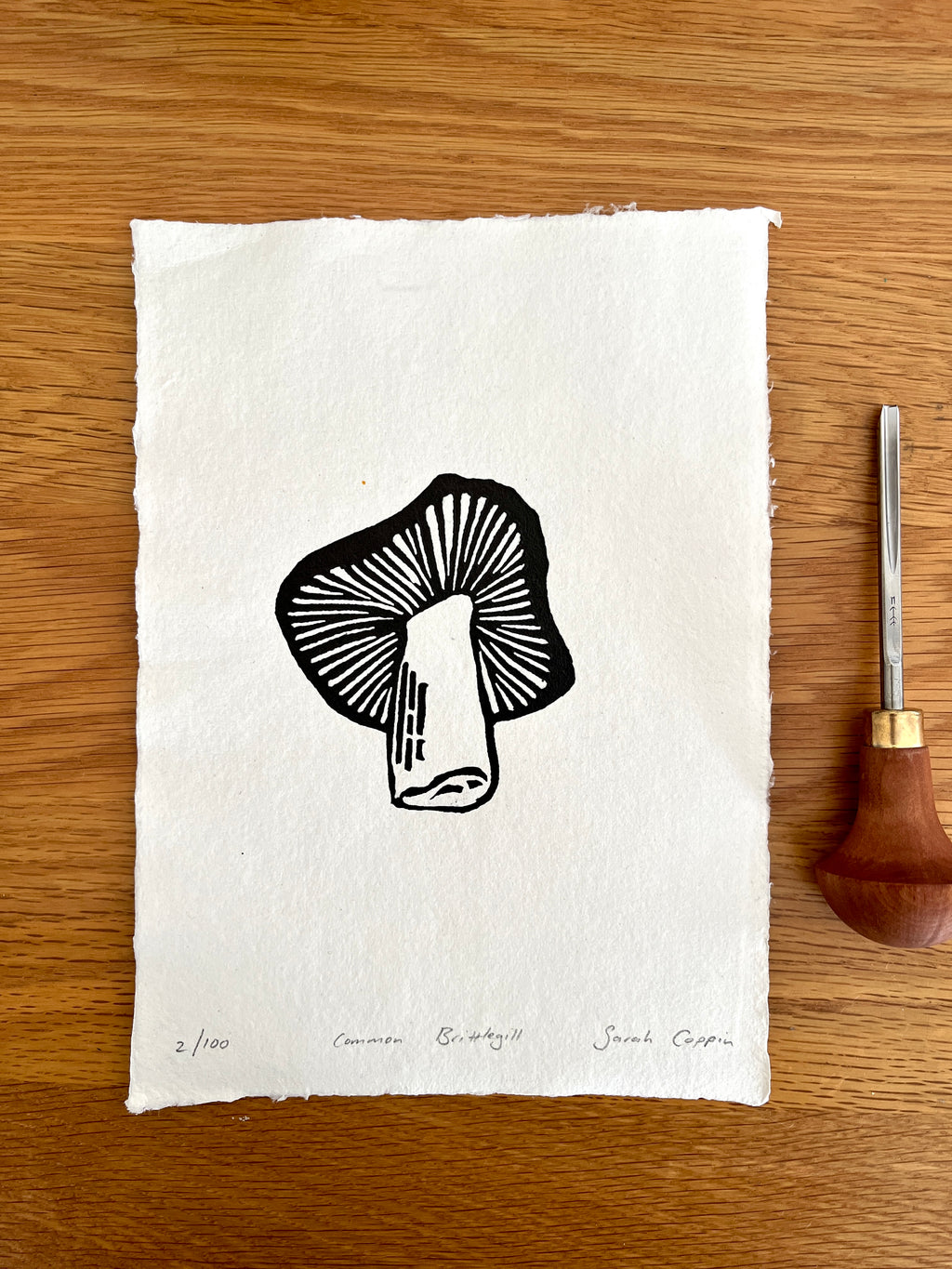 Woodland Print Club