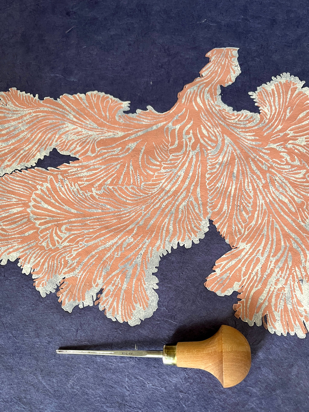 Schizophyllum Commune