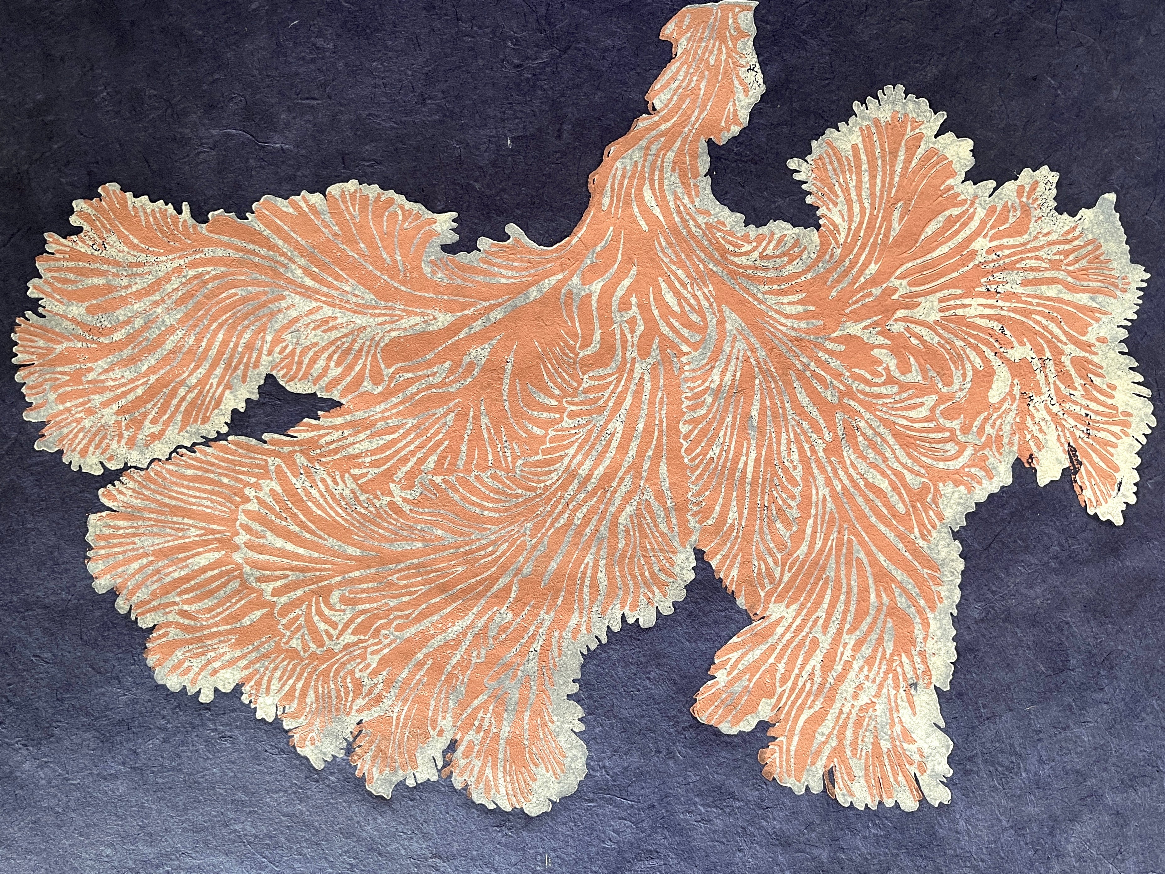 Schizophyllum Commune